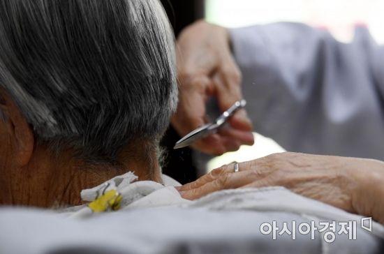 사각사각 소리를 내며 한 올 한 올 정성스럽게 머리를 다듬는 이덕훈 할머니의 손길./김현민 기자 kimhyun81@