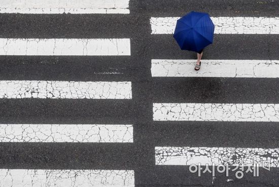 전국적으로 봄비가 내린 6일 서울 서소문로에서 우산을 쓴 한 시민이 발걸음을 옮기고 있다. /문호남 기자 munonam@