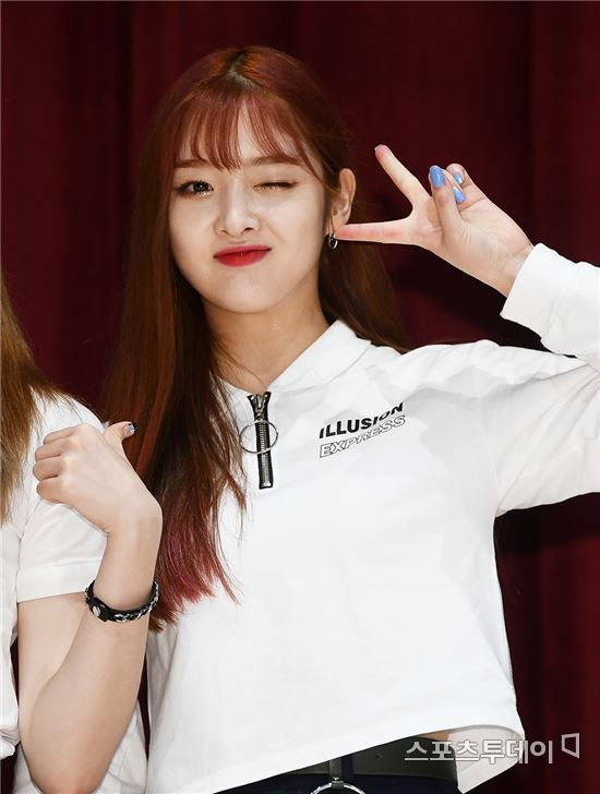 다이아 은진 탈퇴에 네티즌 "건강이 먼저…푹 쉬길"