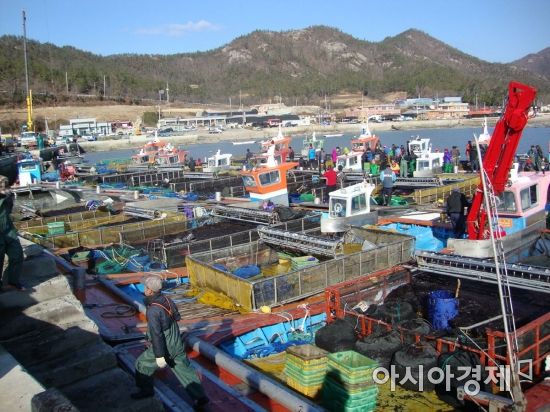 ‘귀어귀촌’ 어업인공동체 활성화…충남, 어촌의 산업화 이룬다