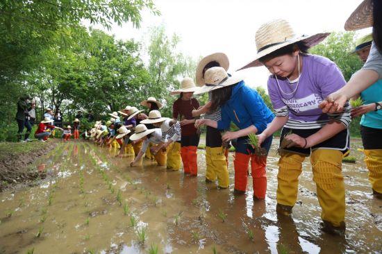 방이 논습지 첫 모내기