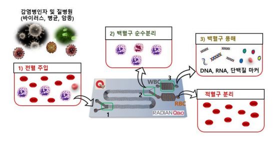라디안큐바이오, '백혈구 분리' 기술 사이언티픽 리포트 게재