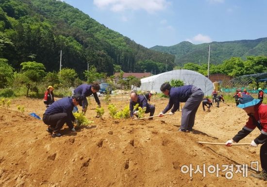 담양군산림조합, 산촌생태마을 가꾸기 행사 ‘개최’