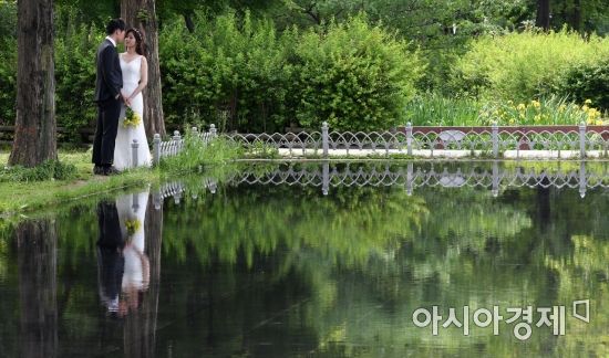 A couple is having a wedding photo shoot with greenery in the background at Seoul Forest Park in Seongdong-gu, Seoul. Unrelated to the article content. Photo by Kim Hyunmin