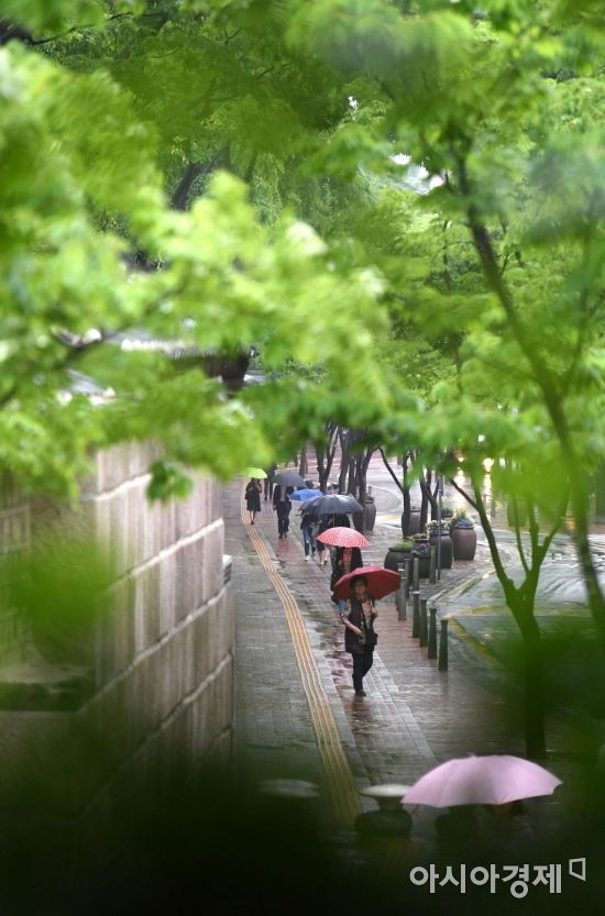 전국적으로 비가 내린 16일 서울 중구 정동길에서 시민들이 우산을 쓰고 발걸음을 옮기고 있다./김현민 기자 kimhyun81@