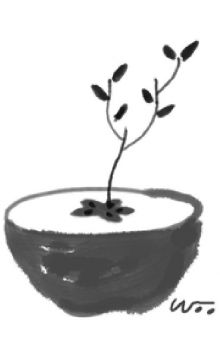 [오후 한 詩] 다음 생을 보았다/정일근