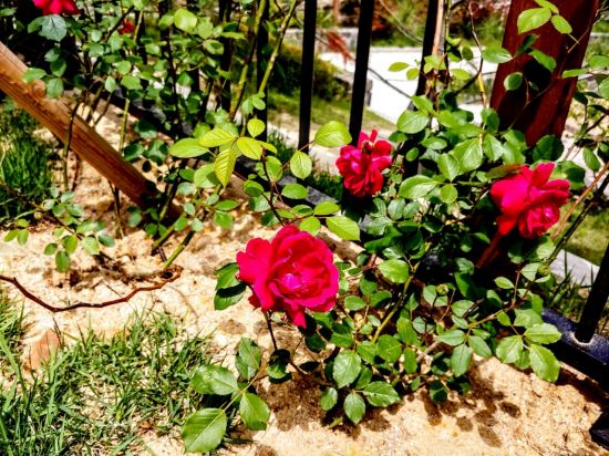 [리뷰] 'LG폰스러움'과 작별하다, G7 씽큐 