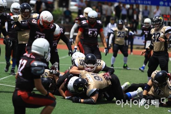 제8회 곡성세계장미축제 폐막…30만명 넘게 다녀가