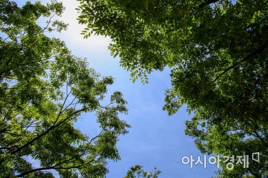 [포토] 여름의 초입