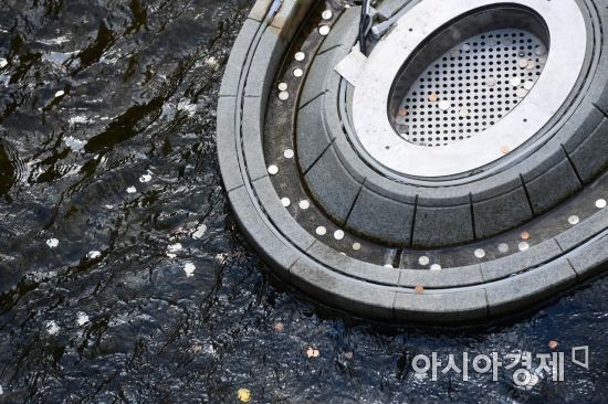 시민들이 던진 동전이 쌓여 있는 서울 청계천 팔석담의 모습. 문호남 기자 munonam@