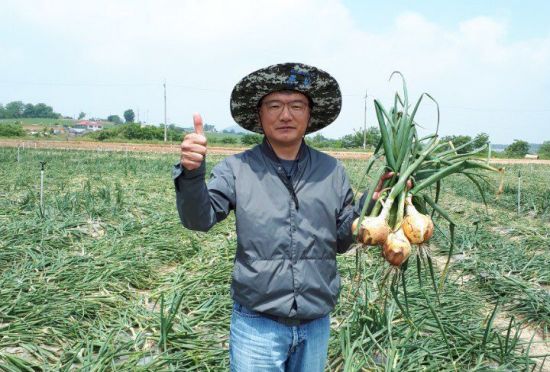 : 충남 서산에서 양파 농사를 짓는 농부 심씨.