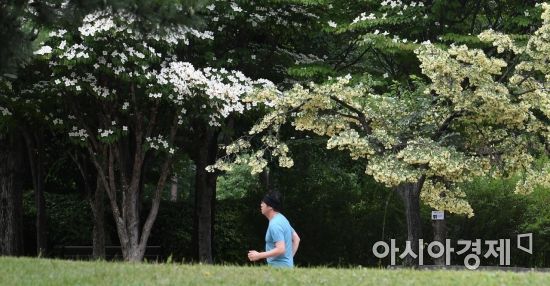 [하루만보 하루천자]호수만보에서 노르딕워킹·맨발걷기…공원이 즐겁다