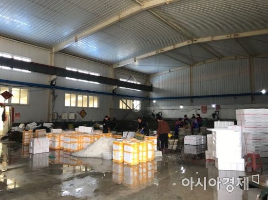 [접경지를 가다]압록강철교 화물차·관광차 다시 북적