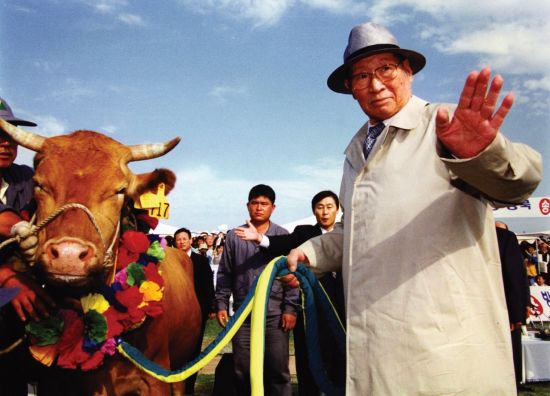 1998년 6월 소떼 500마리를 트럭에 싣고 북한을 방문하기 위해 임진각에 도착한 고(故) 정주영 현대그룹 명예회장의 모습.