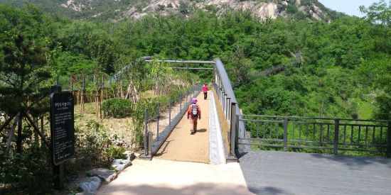 서울 내 끊겼던 '녹지축' 5곳 연결…동물·인간 공존