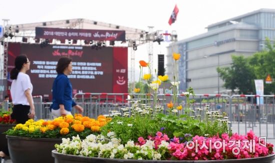 [포토]월드컵 응원은 광장에서, 꽃길만 걷자