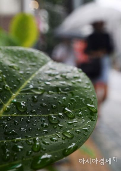 [오늘 날씨] 내륙 더위 계속…제주 첫 장맛비