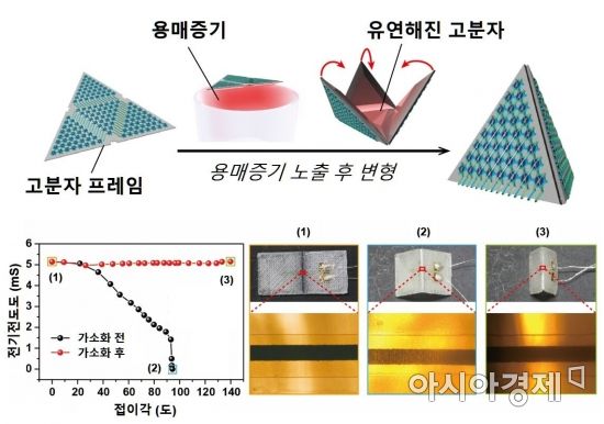 국내 연구진, 맹점 없는 전방향 이미지센서 개발