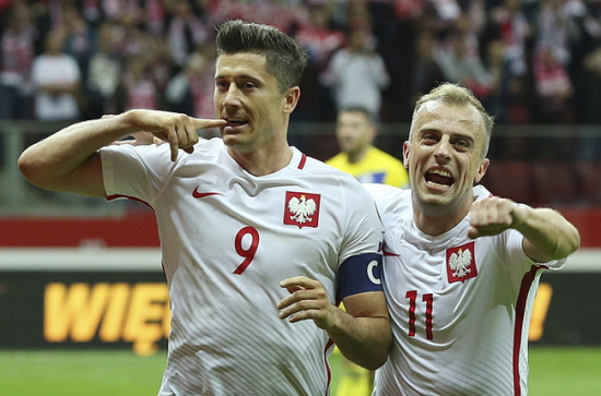 폴란드, 세네갈과 오늘(19일) 자정 월드컵 예선 경기…승률 45％