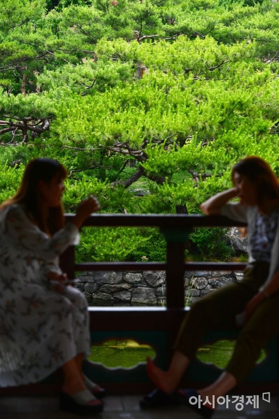 [포토]초록빛 자연 속에서