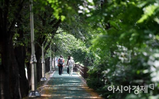 [포토] '푸른 녹음 속을 거닐다'