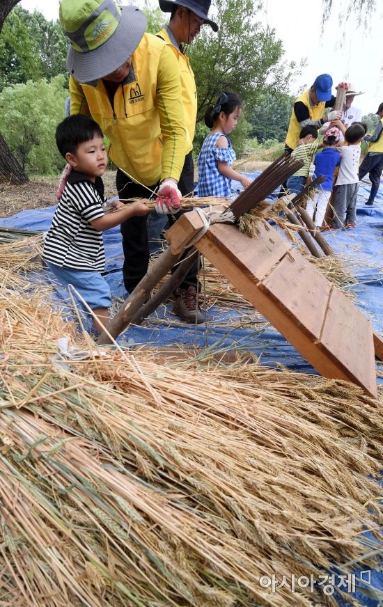 [포토] 보리 탈곡하는 어린이들