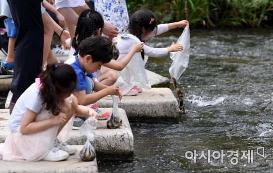 [포토] 양재천에 미꾸라지 방생하는 아이들