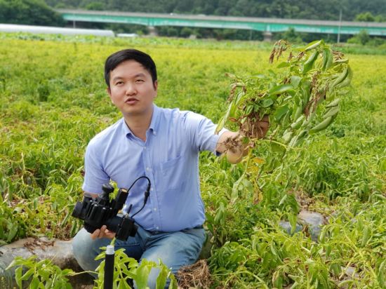 '감자밭의 혁신' IoT에서 답을 찾다