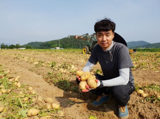 경상북도 상주시에서 하지 감자 농사를 짓는 김의종씨(38).