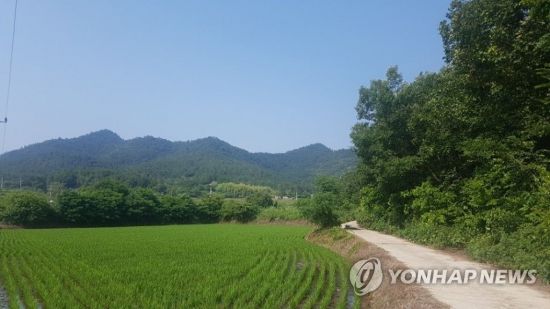 강진 실종 여고생 용의자, 성주·하은이 사건과 관련 있나