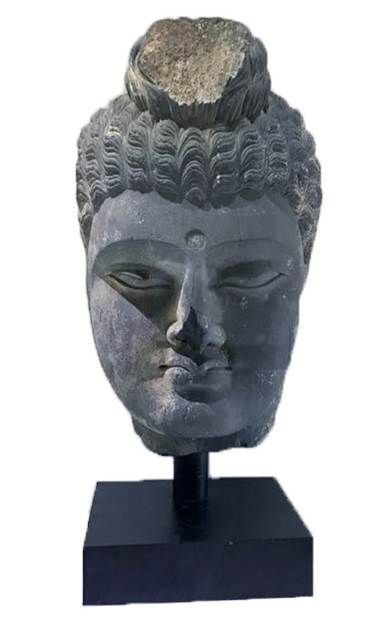 간다라 미술이 가리키는 공존의 가치