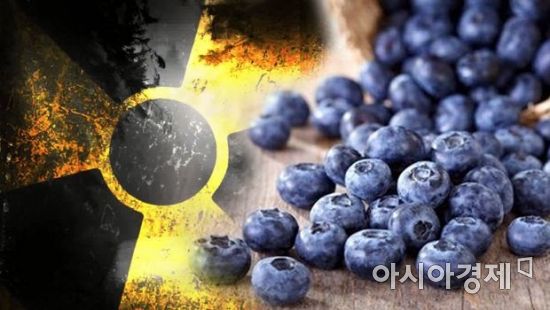 방사능 ‘라돈 침대’ 이어 방사능 ‘세슘 베리’가 온다?