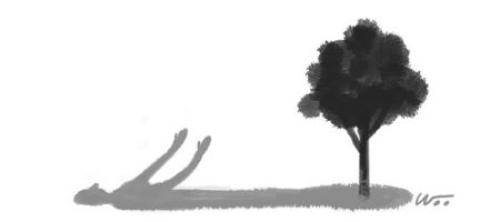 [오후 한 詩]참나무 아래 누워/김개미