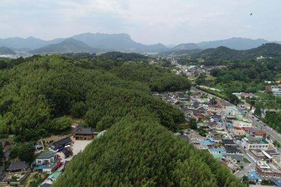 ‘담양 대나무 숲’ 등 5개소, 산림청 지정 ‘국가산림문화자산’에 이름