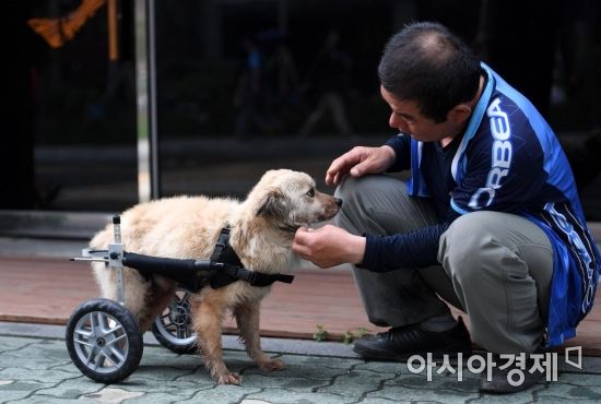 [김현민의 시선] 장애동물, 날개를 달다