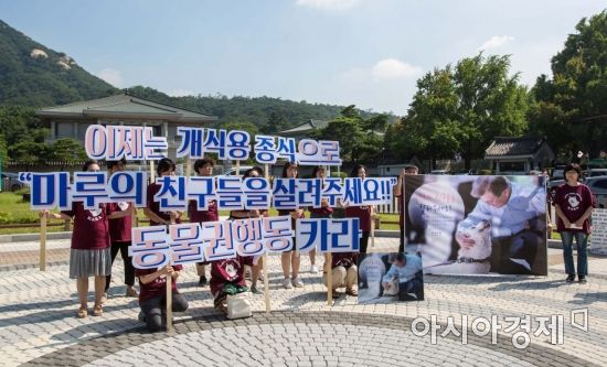 [포토] 초복 맞아 개식용 반대 촉구 기자회견 개최
