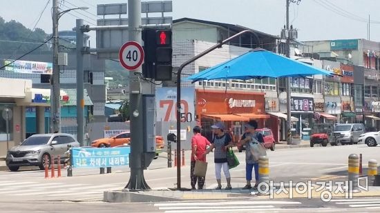 영광군, 폭염대응 종합대책 추진으로 피해 예방 '앞장'