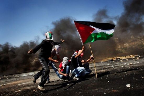 [신조어사전] 그레이존(gray zone) - ‘소속 불명’이 불편한 이유