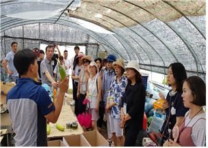 서울시 학교 영양교사 친환경농산물 산지 체험