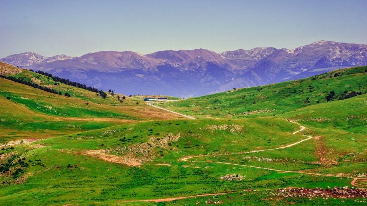 하림 계열사 선진, 안성에 대규모 돼지 도축시설 건립…주민들 "대기업 횡포"(종합)