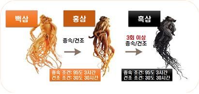 검은 삼으로 하얀 피부 되찾는다