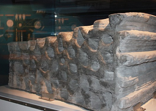 ‘달의 먼지’로 집 짓는다…‘문 빌리지’ 머지않아