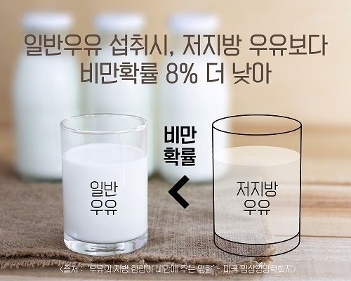 건강 지키고 싶다면 우유 속 지방 줄이지 마세요