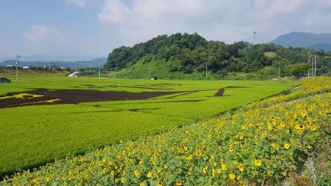 [추석 이후]정부내 쌀변동직불금 산정방식 무용론 '솔솔'