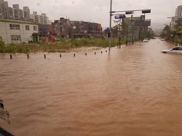 대전 폭우로 침수 피해…"작년 청주 물폭탄 기억난다"