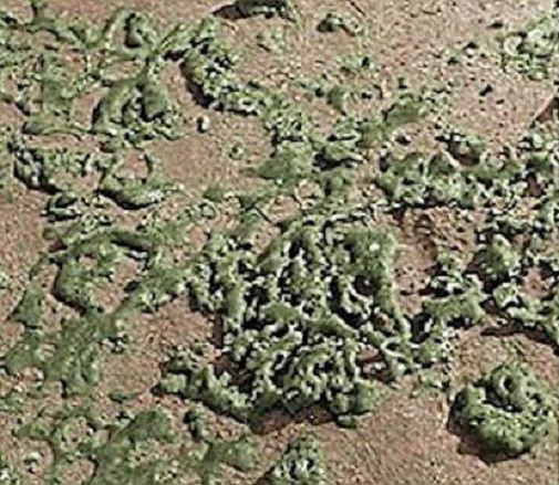 모헨조다로 일대에서 발견됐다는 유리질 암석, 트리니타이트의 모습. 핵폭발시 생성된다고 알려지면서 고대 핵전쟁의 증거물처럼 여겨졌지만, 현재는 지각변동 등 자연현상으로 만들어진 것으로 알려져있다.(사진=유튜브)