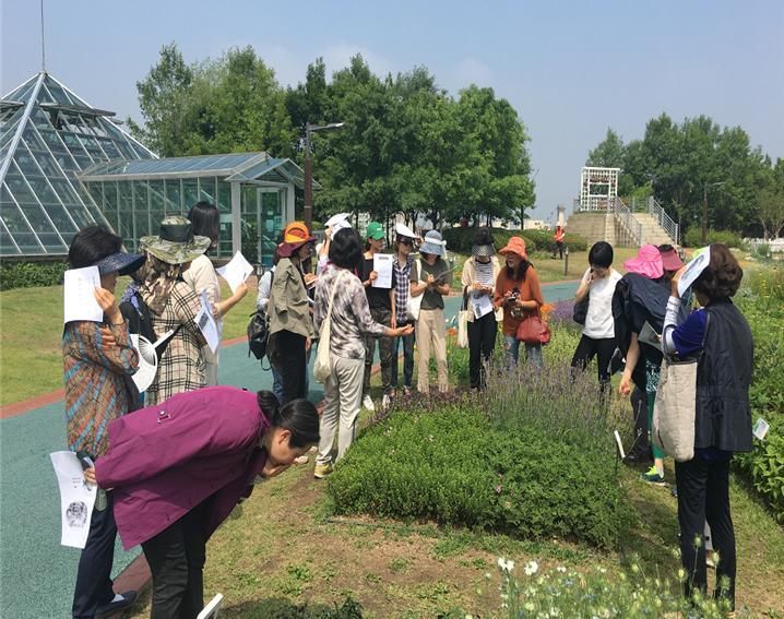 강동구, 허브향 가득한 힐링배움터 '허브스쿨 가든팜' 운영  