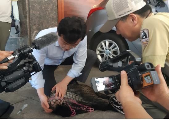 등산객 위협했던 북한산 출몰 원숭이 포획 성공…위탁시설에 보호  