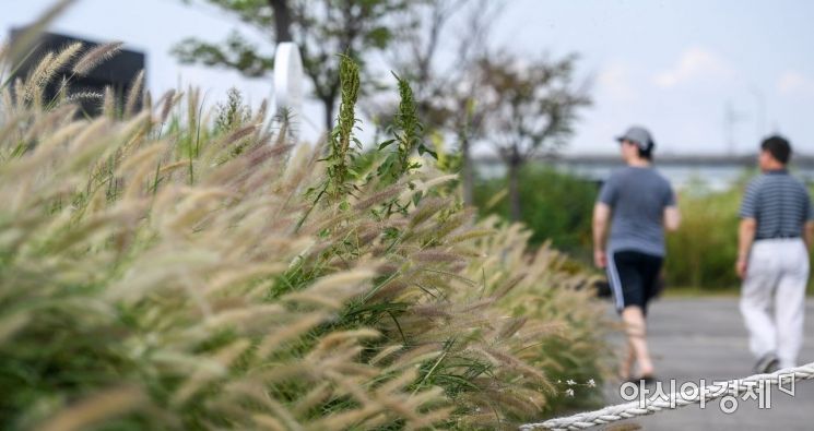 [포토] 수크령핀 한강공원
