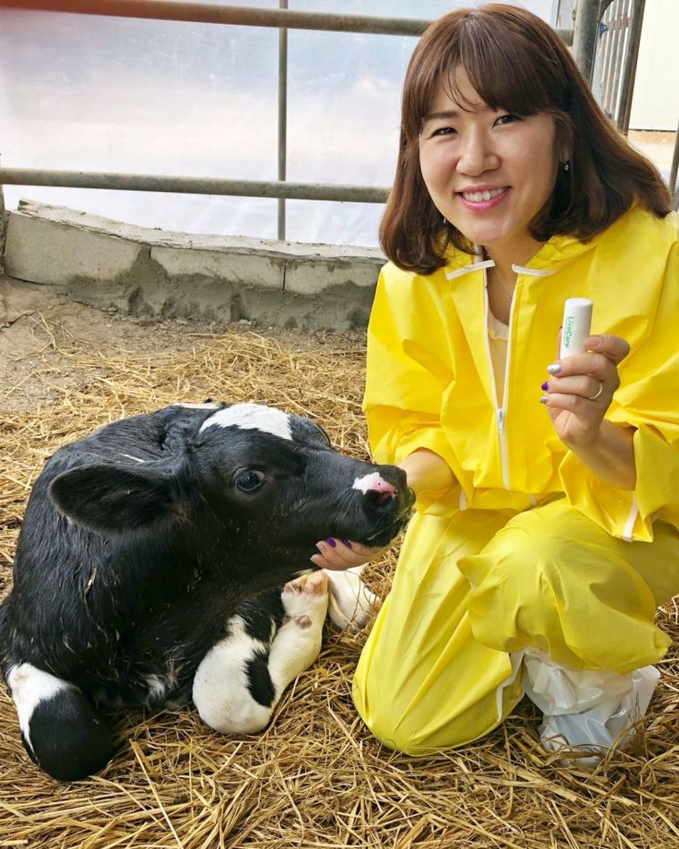 김희진 유라이크코리아 대표가 축우 생체관리 바이오 캡슐 '라이브케어'의 송아지 전용 제품을 선보이고 있다.